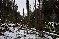 17: DSC_1048
