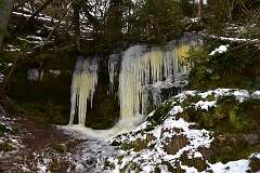 20: DSC_1051