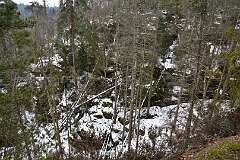 32: DSC_1066