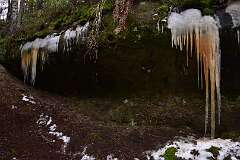 45: DSC_1079