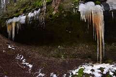 46: DSC_1080