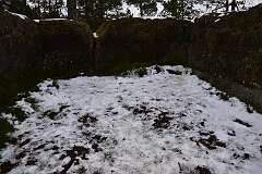 47: DSC_1081