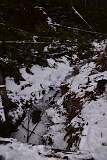 50: DSC_1085