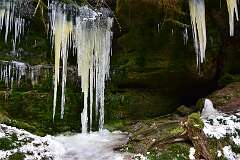 52: DSC_1087