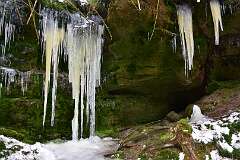 53: DSC_1088