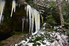 54: DSC_1089