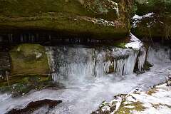 64: DSC_1104
