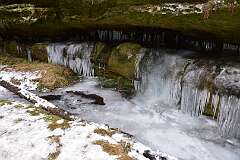 65: DSC_1106