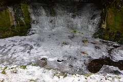 66: DSC_1107