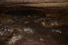 71: DSC_1114