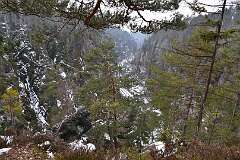 77: DSC_1124