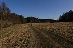 2025_03_22-Zidovice