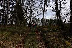 9: RX107480