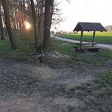 136: 20250413_064447