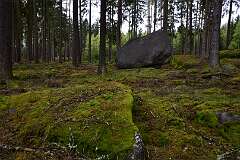 21: DSC_1136