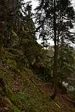 25: DSC_1140