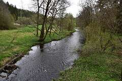 31: DSC_1146