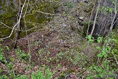37: DSC_1152