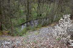 39: DSC_1154