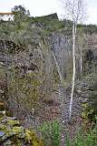 40: DSC_1155