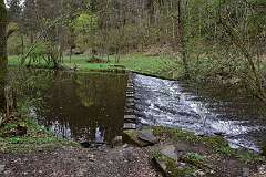 43: DSC_1158