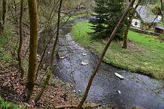 44: DSC_1159