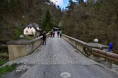 52: DSC_1167