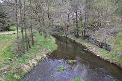 53: DSC_1168