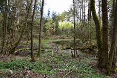 12: DSC_1180