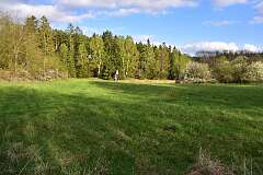13: DSC_1181