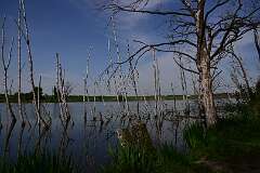 109: DSC_1228