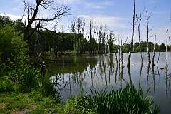 110: DSC_1230