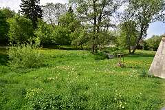 112: DSC_1232