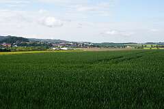 4: RX107843