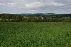 12: RX107852