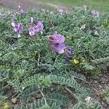 2025_05_23-31-Azerbajdzan