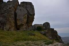48: DSC_1250