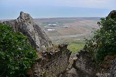 51: DSC_1253
