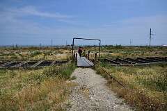 66: DSC_1270