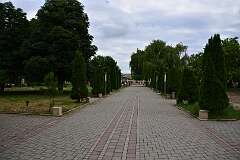 77: DSC_1282