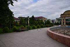 78: DSC_1283