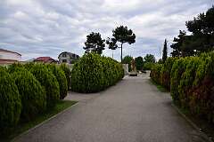 80: DSC_1285