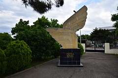 81: DSC_1286