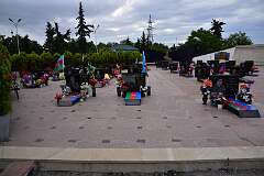 82: DSC_1287