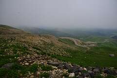 91: DSC_1297