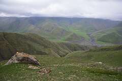 103: DSC_1310