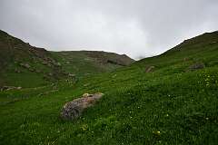 111: DSC_1318