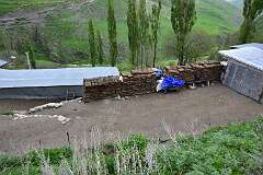 116: DSC_1323