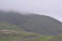 123: DSC_1330