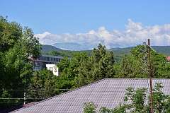136: DSC_1344